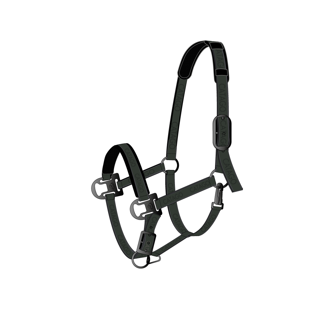 CATAGO Grimma Scarab (Ponny)