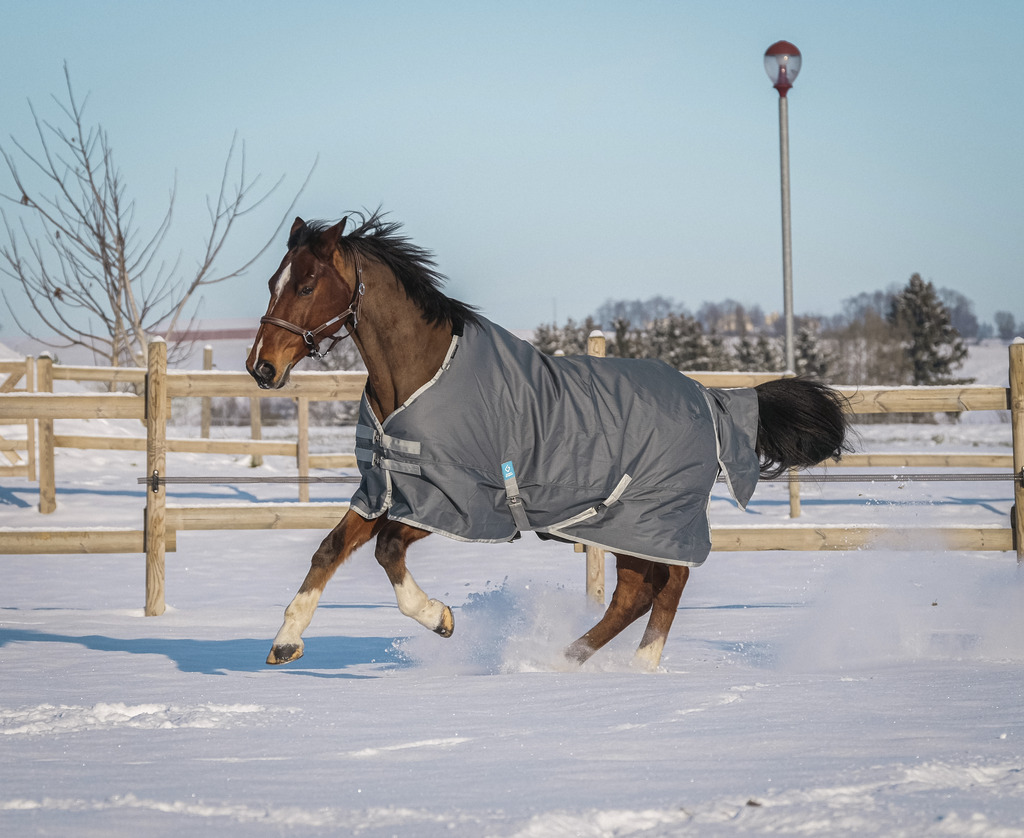 EQUITHEME 'TYREX 600D' Recycled Turnout Hästtäcke Grön 300 g (5'9 - 125 cm)