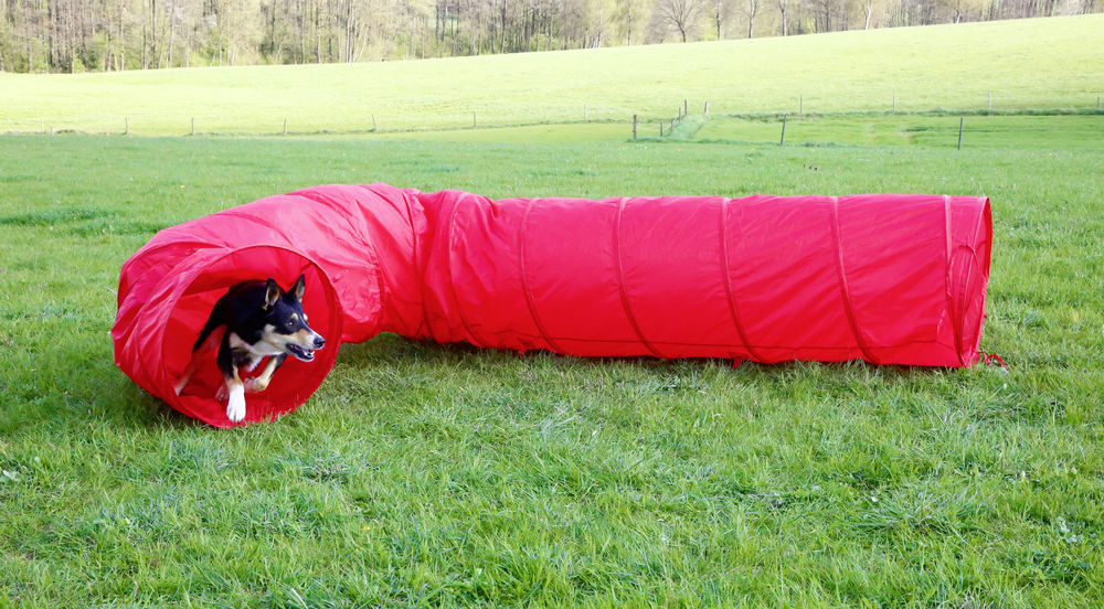 Kerbl Agility Tunnel- Red - 3