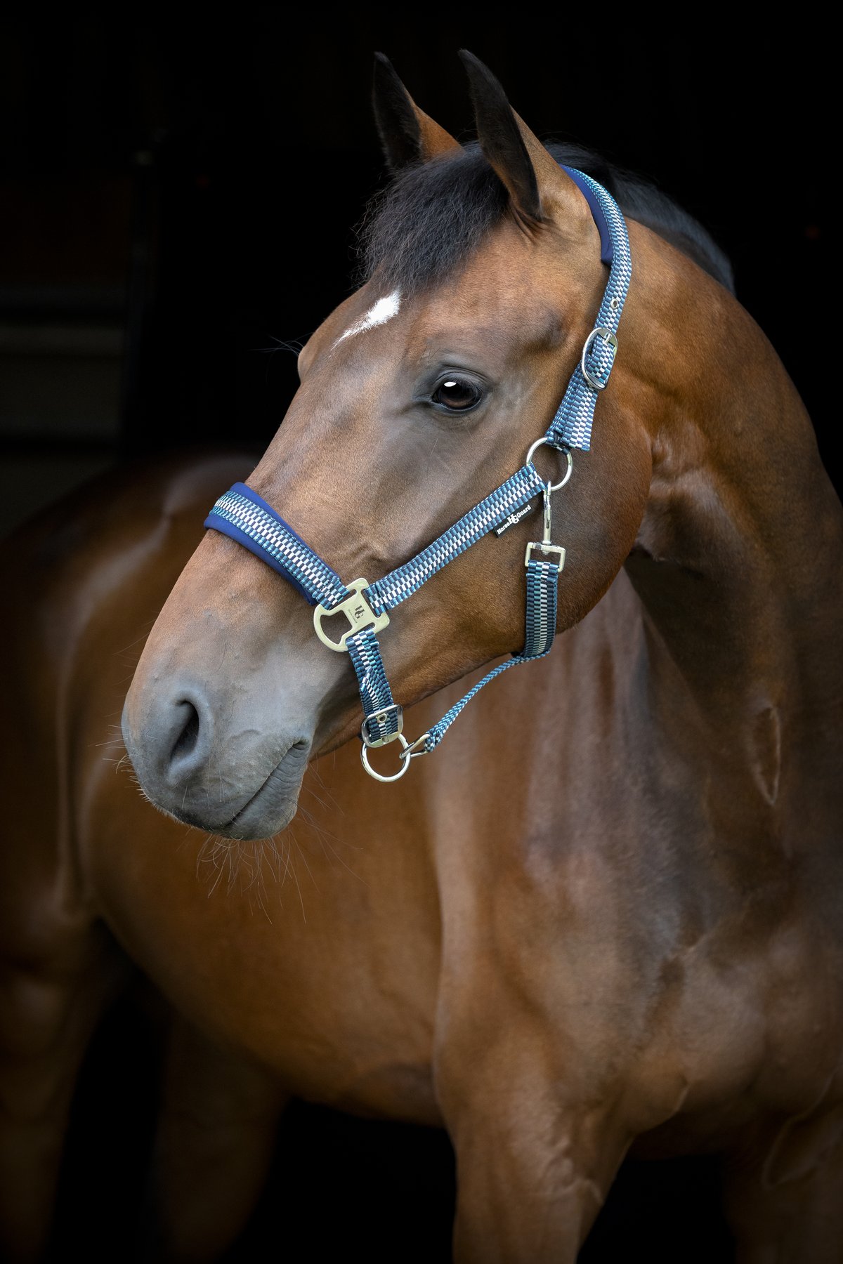 HorseGuard Horse Guard Cole halter - Arctic - 3