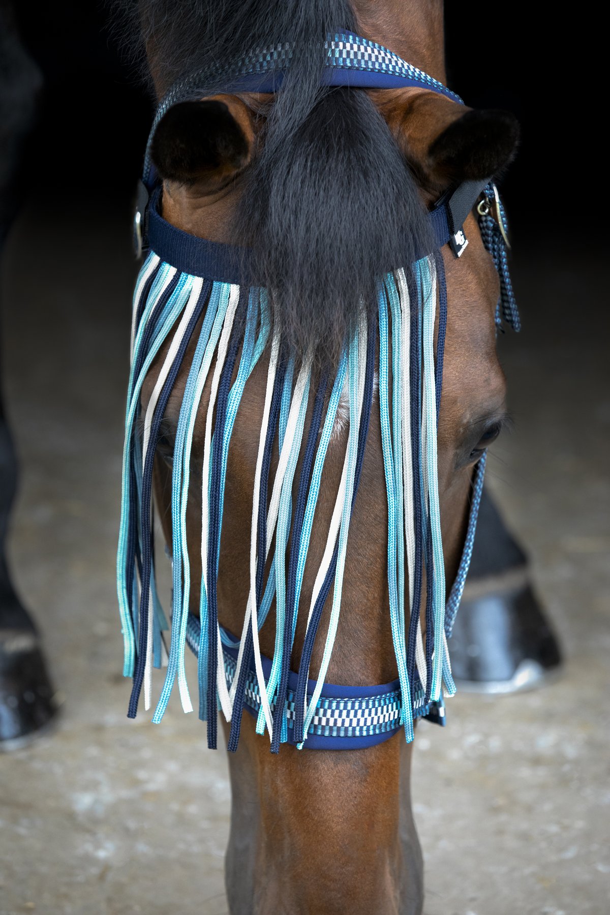 HorseGuard Horse Guard Cole fringe - Arctic - 3