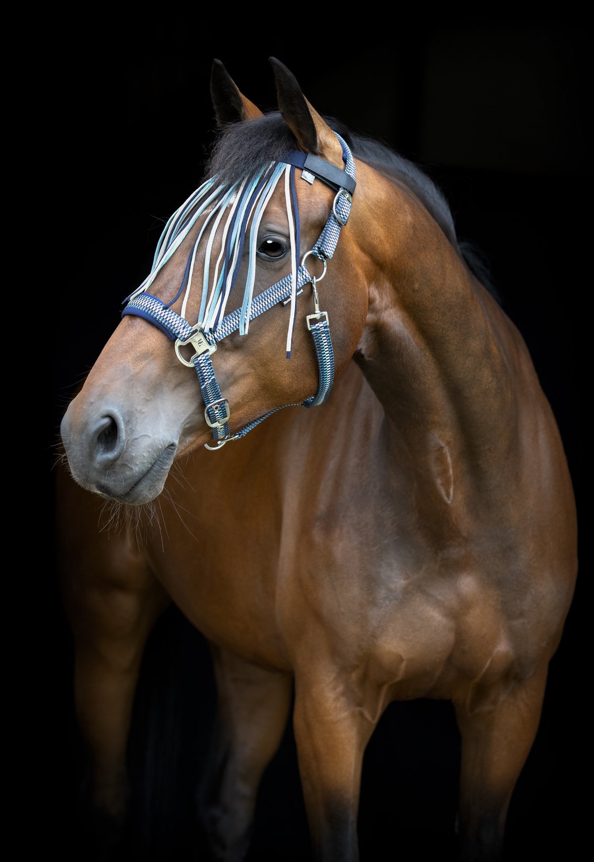 HorseGuard Horse Guard Cole fringe - Arctic - 2