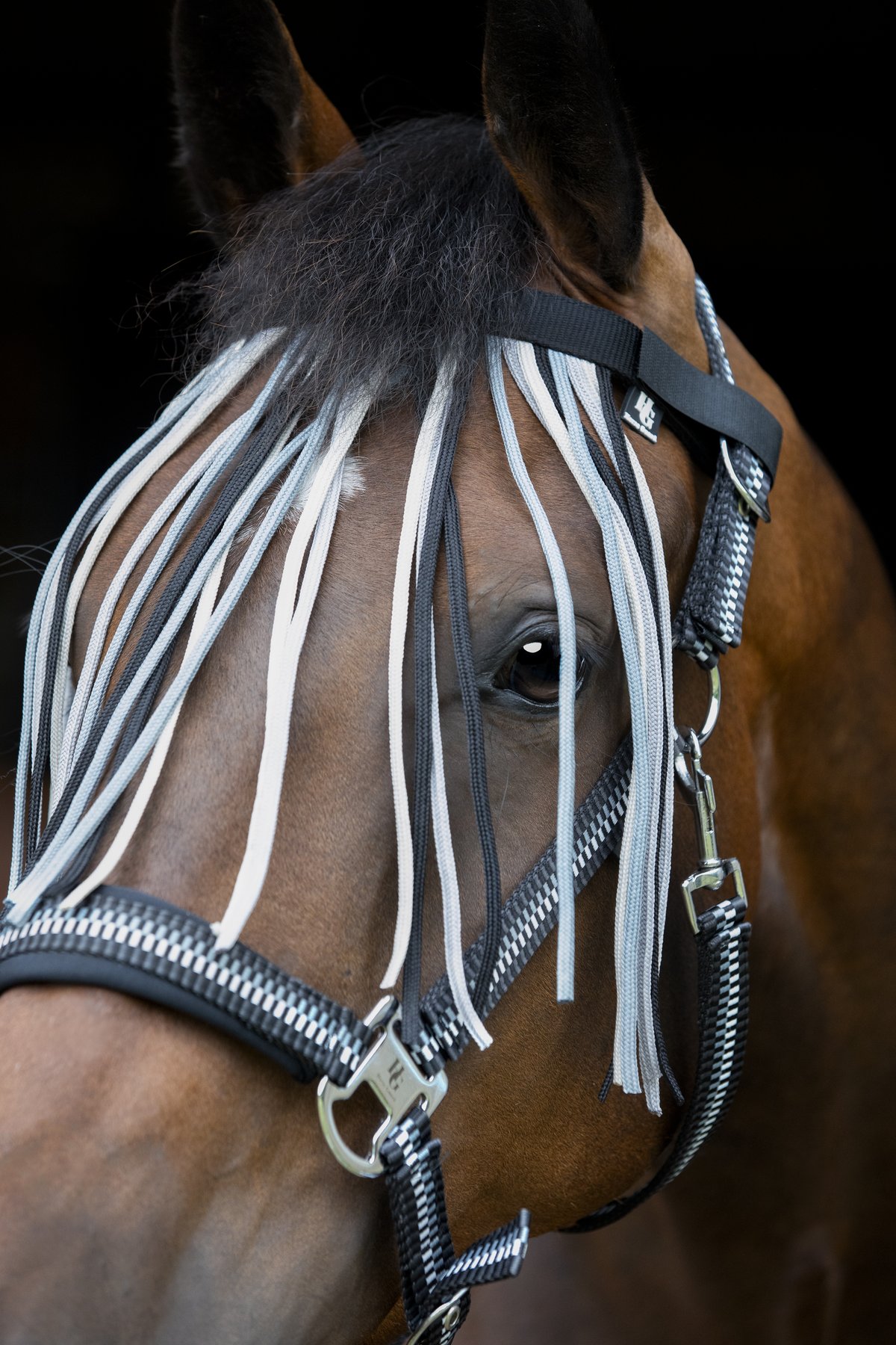 HorseGuard Horse Guard Cole otsanauha - Asphalt - 4