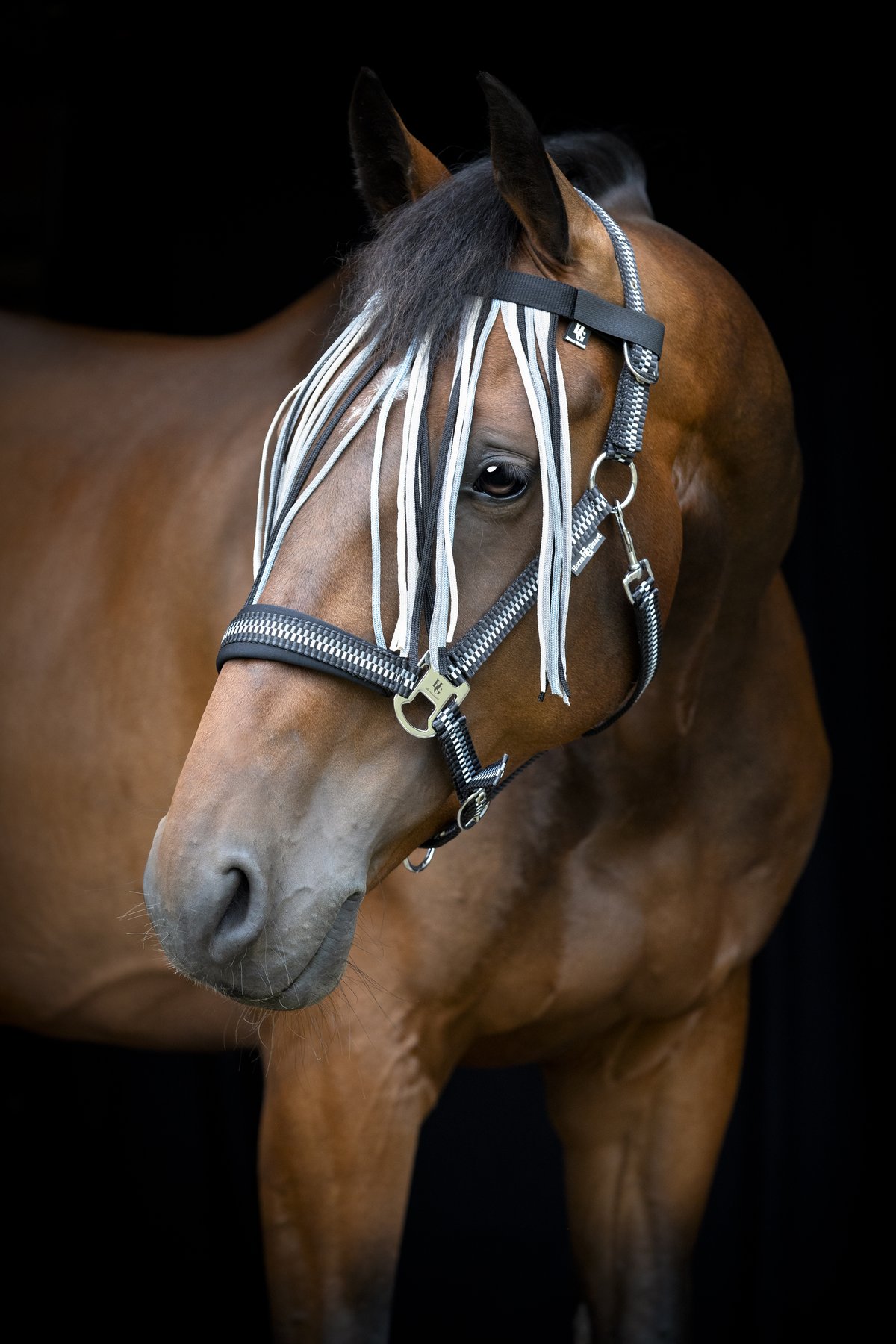 HorseGuard Horse Guard Cole otsanauha - Asphalt - 3