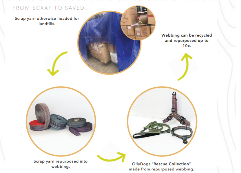 OllyDog Trekker RF Harness and Backpack for Dog Dahlia PETSTER