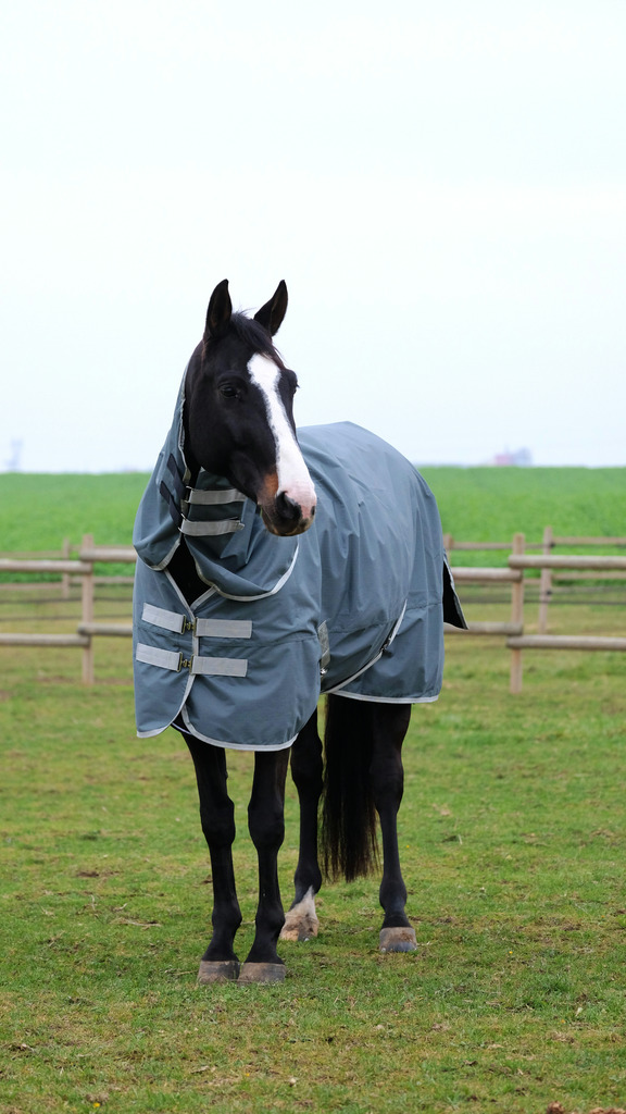 EQUITHEME 'TYREX 600D' Recycled Neck Cover Green 0 g - 2