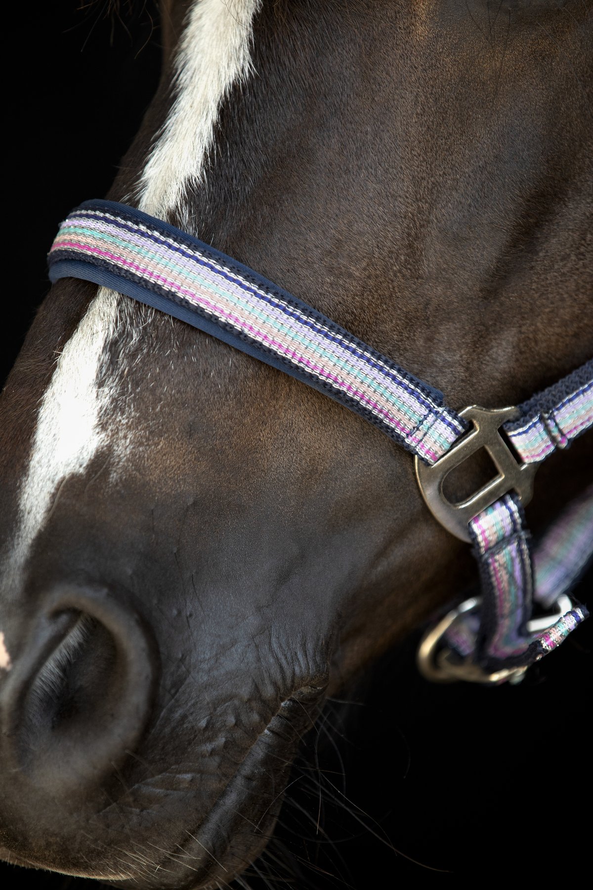 HorseGuard Horse Guard Mascha halter - Aster Purple - 4