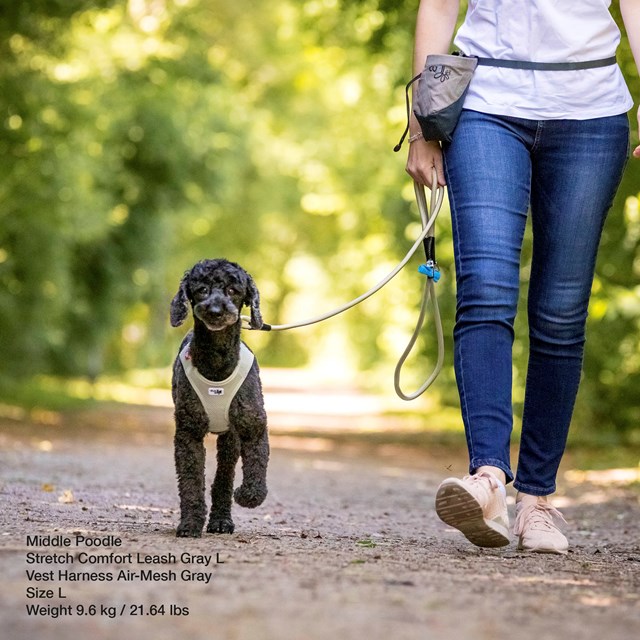 CURLI stretch comfort leash - Red - 2