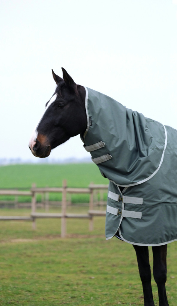 EQUITHEME 'TYREX 600D' Recycled Hals Till Hästtäcke Grön 150 g (Ponny)