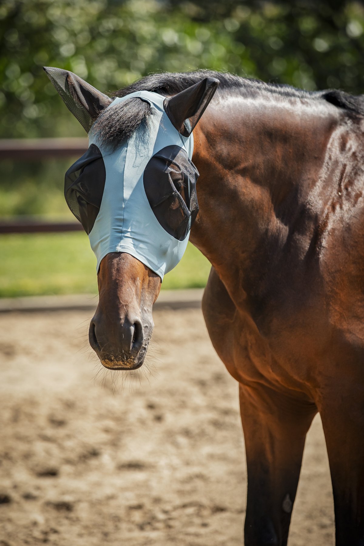 HorseGuard Horse Guard insect mask - Arctic - 2
