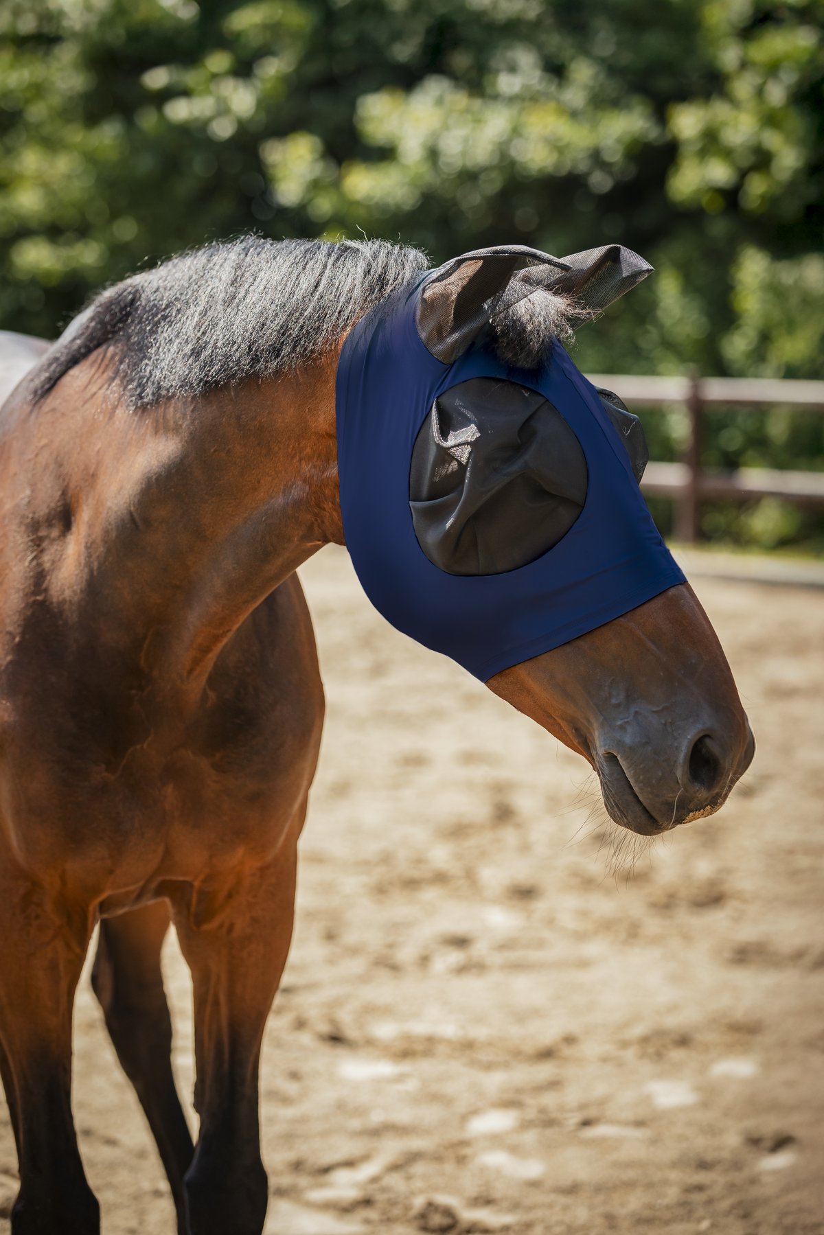 HorseGuard Horse Guard insect mask - Navy - 2