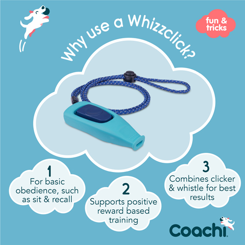 Coachi Whizzclick Klicker och Visselpipa Ljusblå, Navy Button - 2