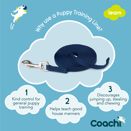 Coachi Puppy Training Line Navy 2.5m - 2
