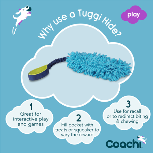 Coachi Tuggi Hide Koiranlelu Merensininen, Lime & Keltainen Blue - 2