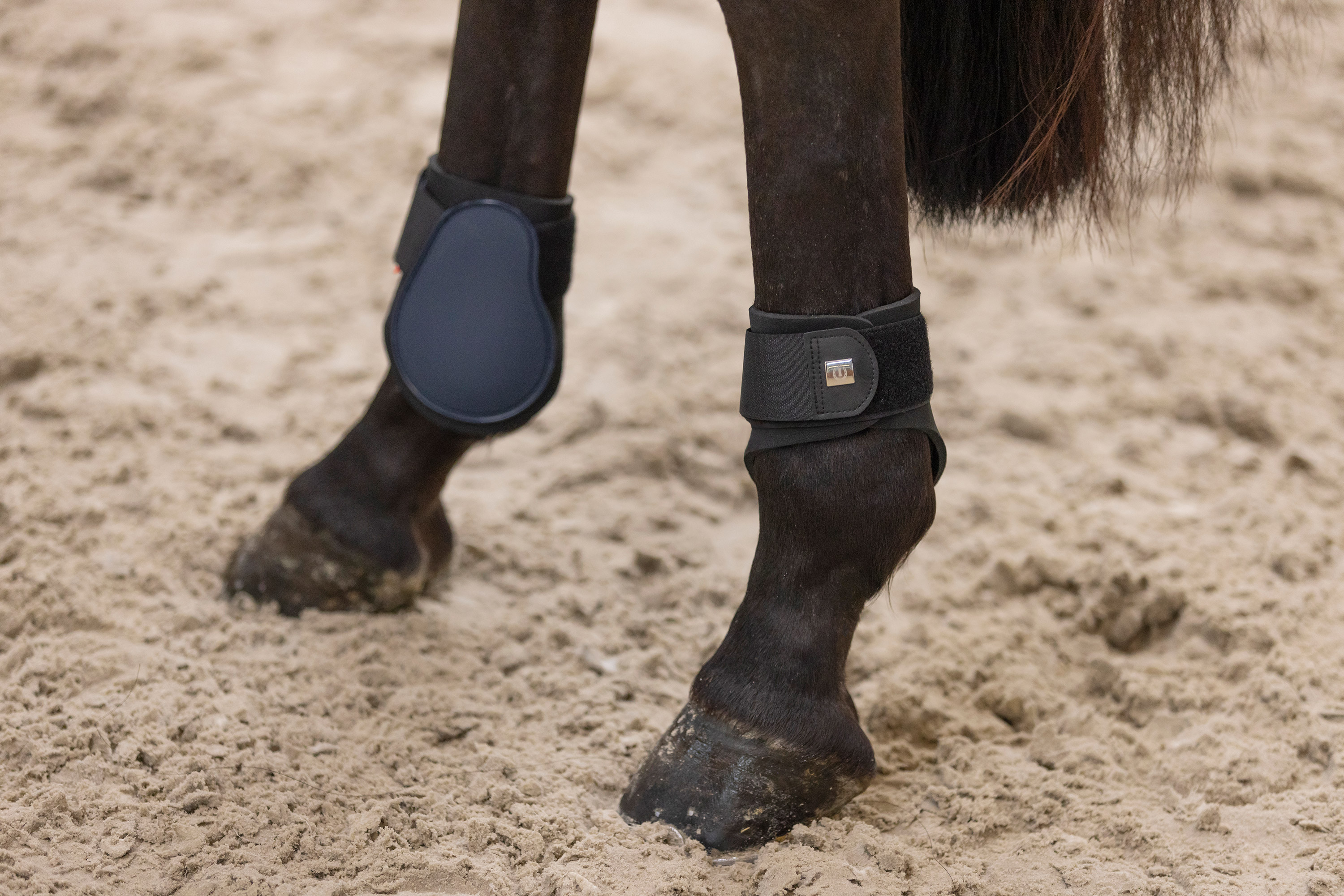 Imperial Riding Fetlock boots Lovely Navy - 5