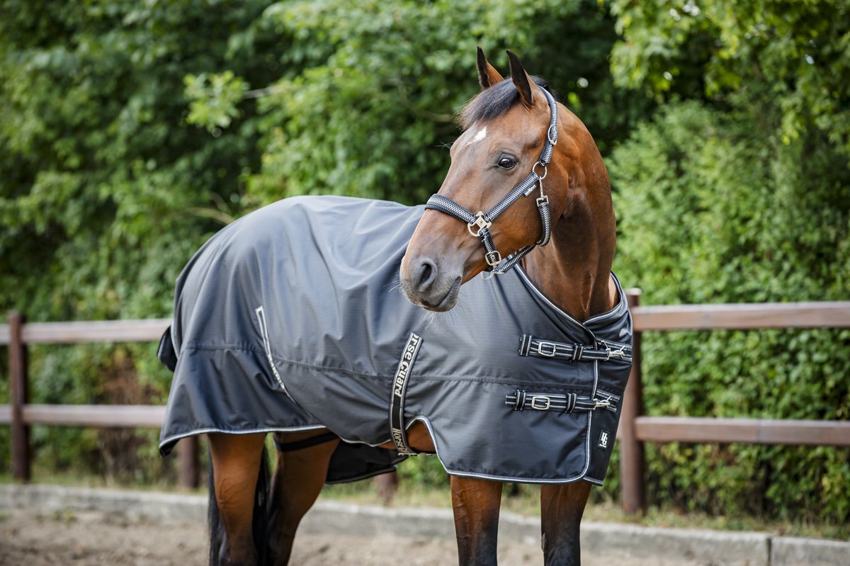 HorseGuard Horse Guard Aron 600D ulkoloimi teddy-fleecellä - Black - 4