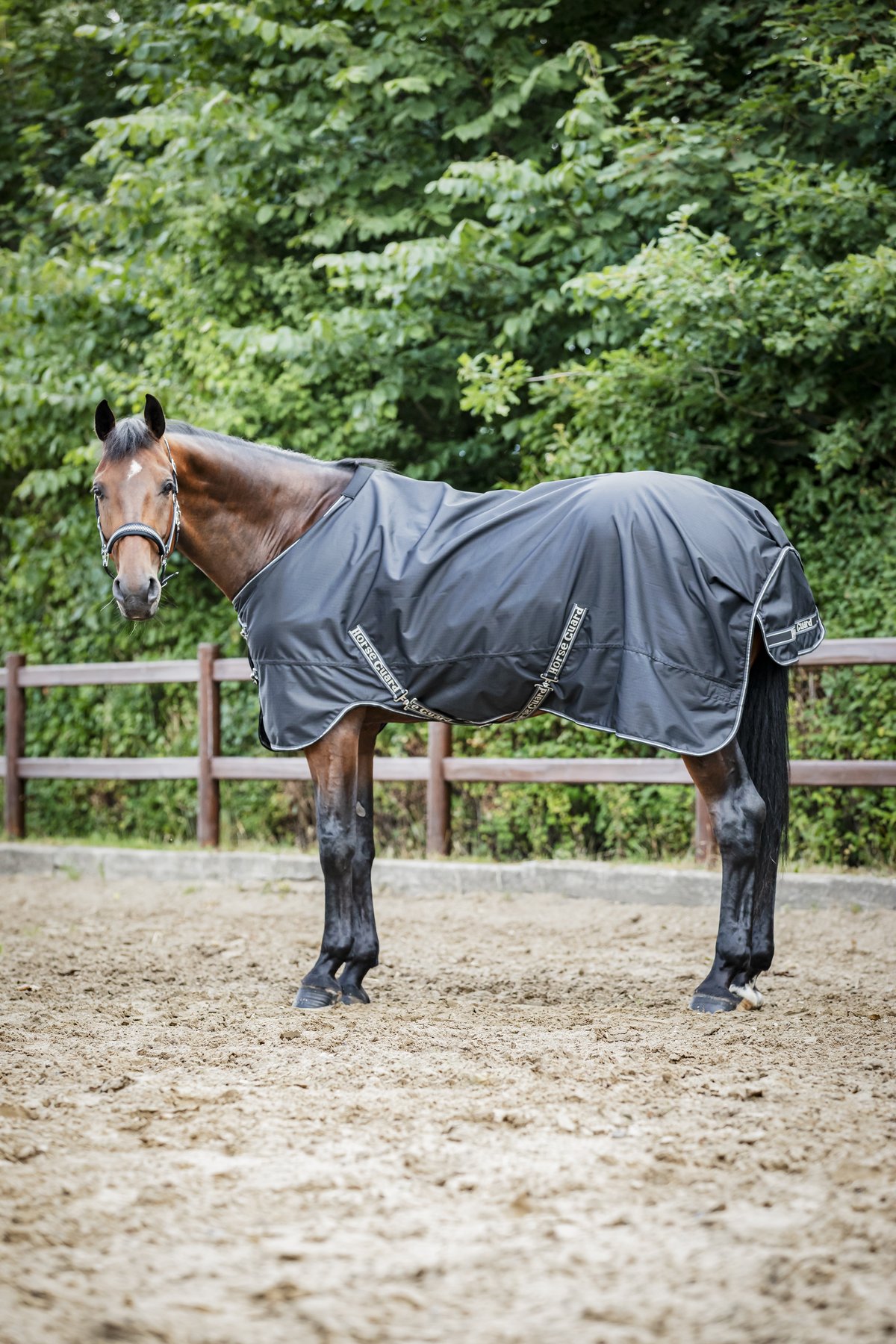 HorseGuard Horse Guard Aron 600D ulkoloimi teddy-fleecellä - Black - 2