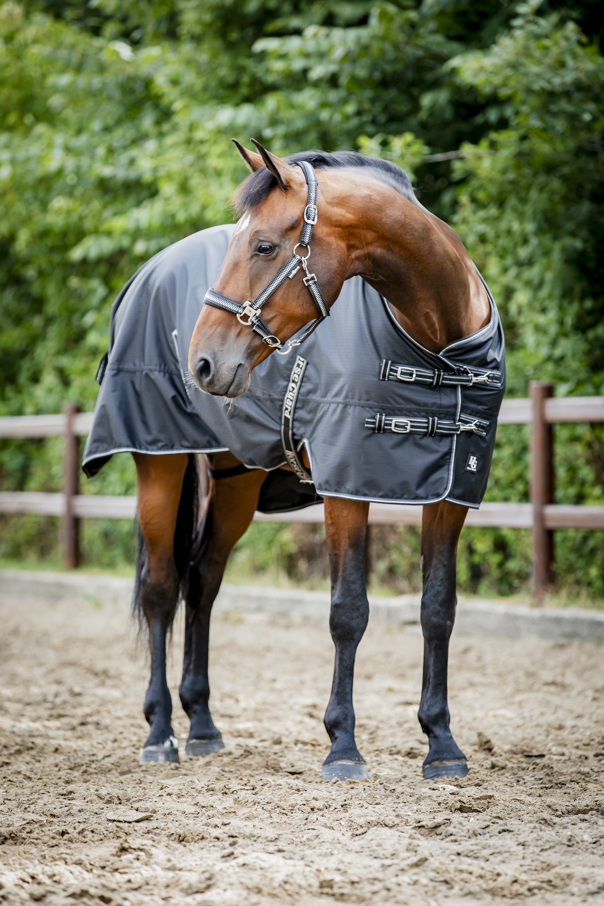 HorseGuard Horse Guard Aron 600D ulkoloimi teddy-fleecellä - Black - 3