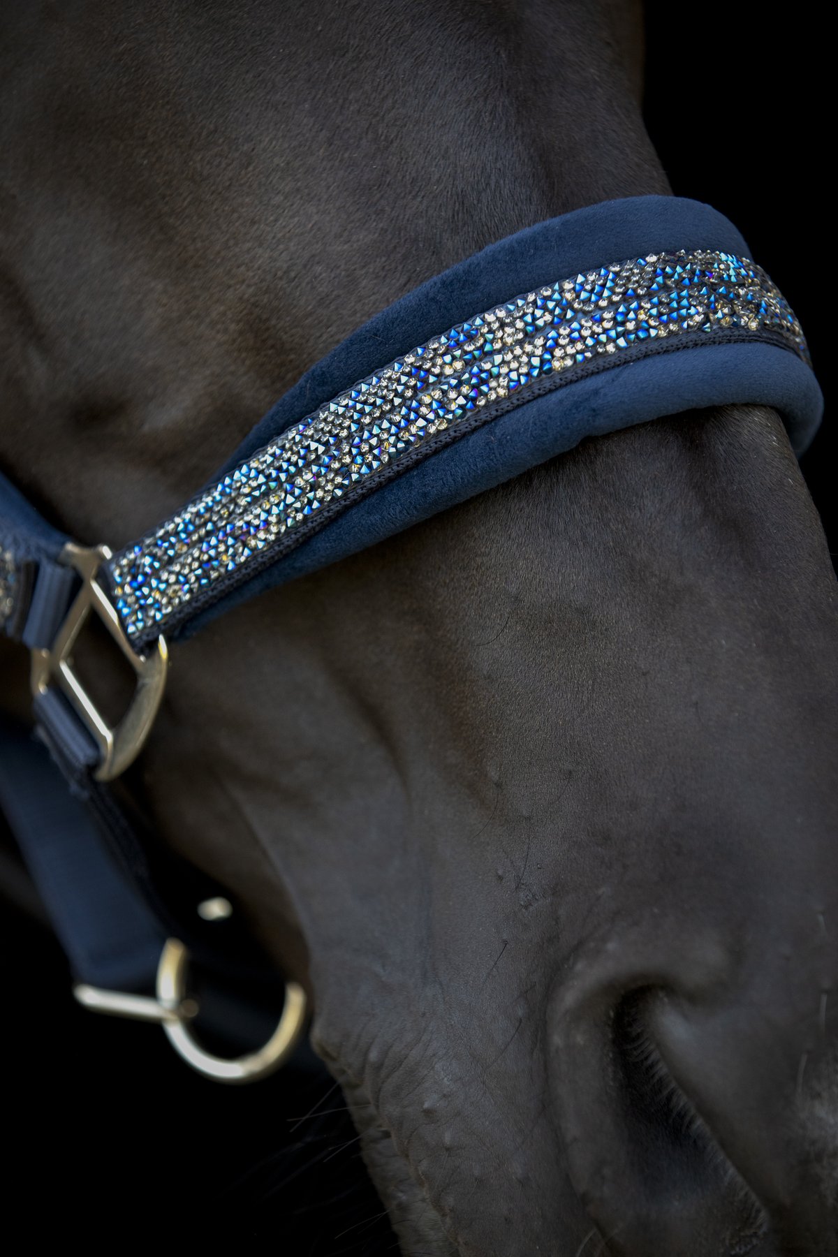 HorseGuard Horse Guard Angel glitter halter - Navy - 4