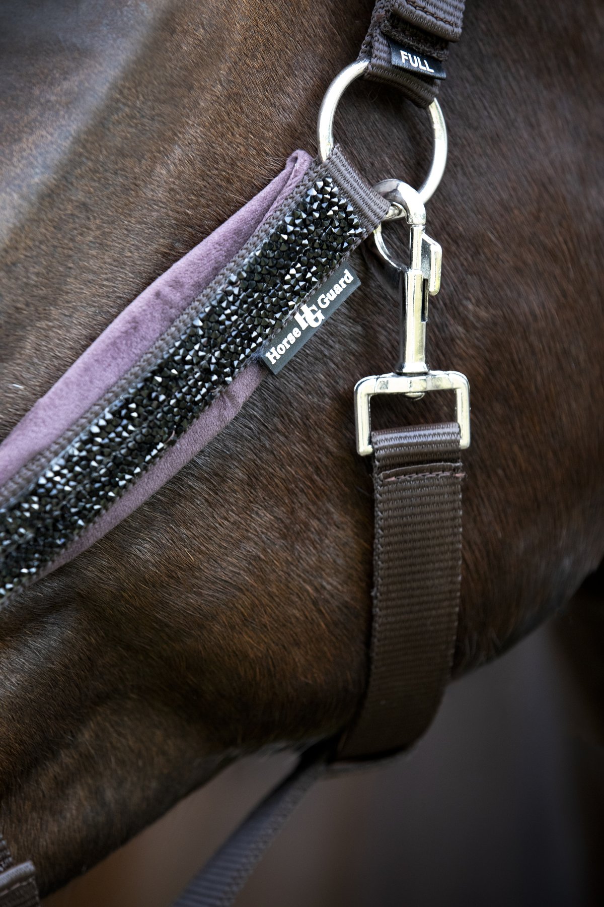 HorseGuard Horse Guard Angel glitter-riimunaru - After Dark - 4