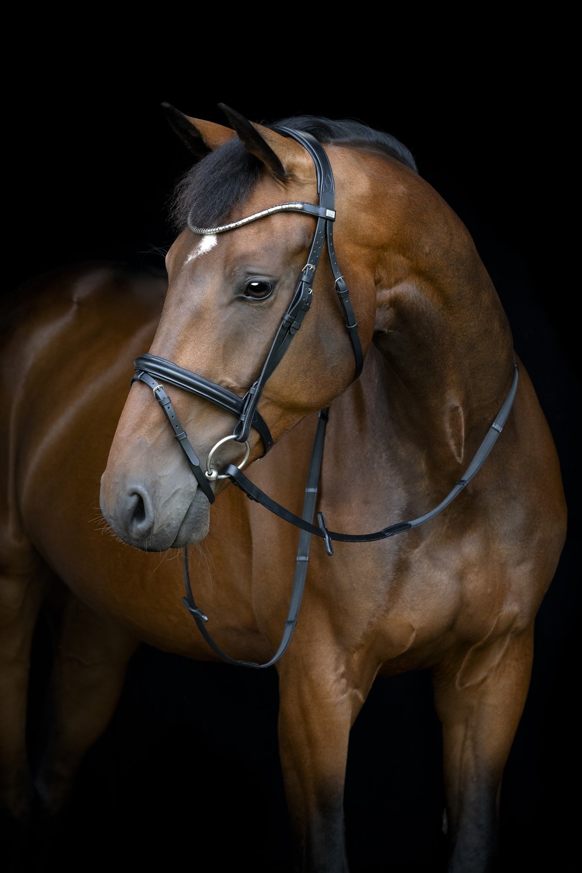HorseGuard Horse Guard Emi 26.1 päitset yhdistetyllä nenäremmillä - Black - 3