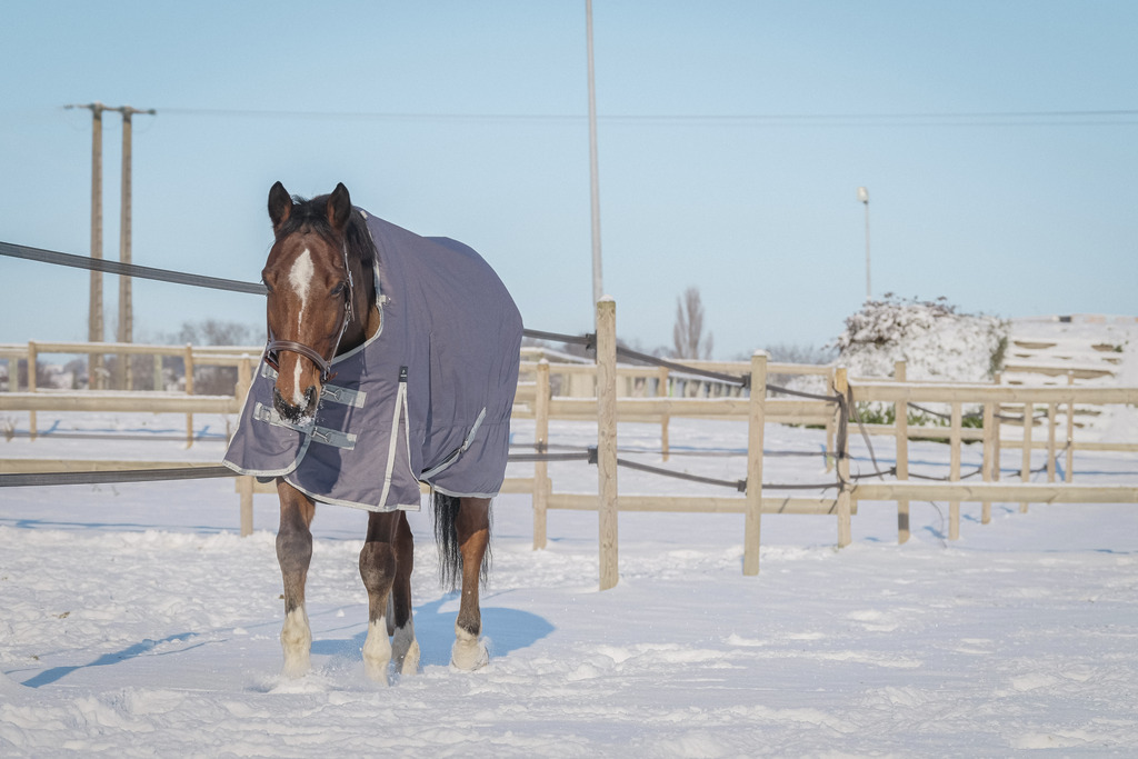 EQUITHEME 'TYREX 1200D' Recycled Turnout Hästtäcke Taupe 150 g (5'9 - 125 cm)