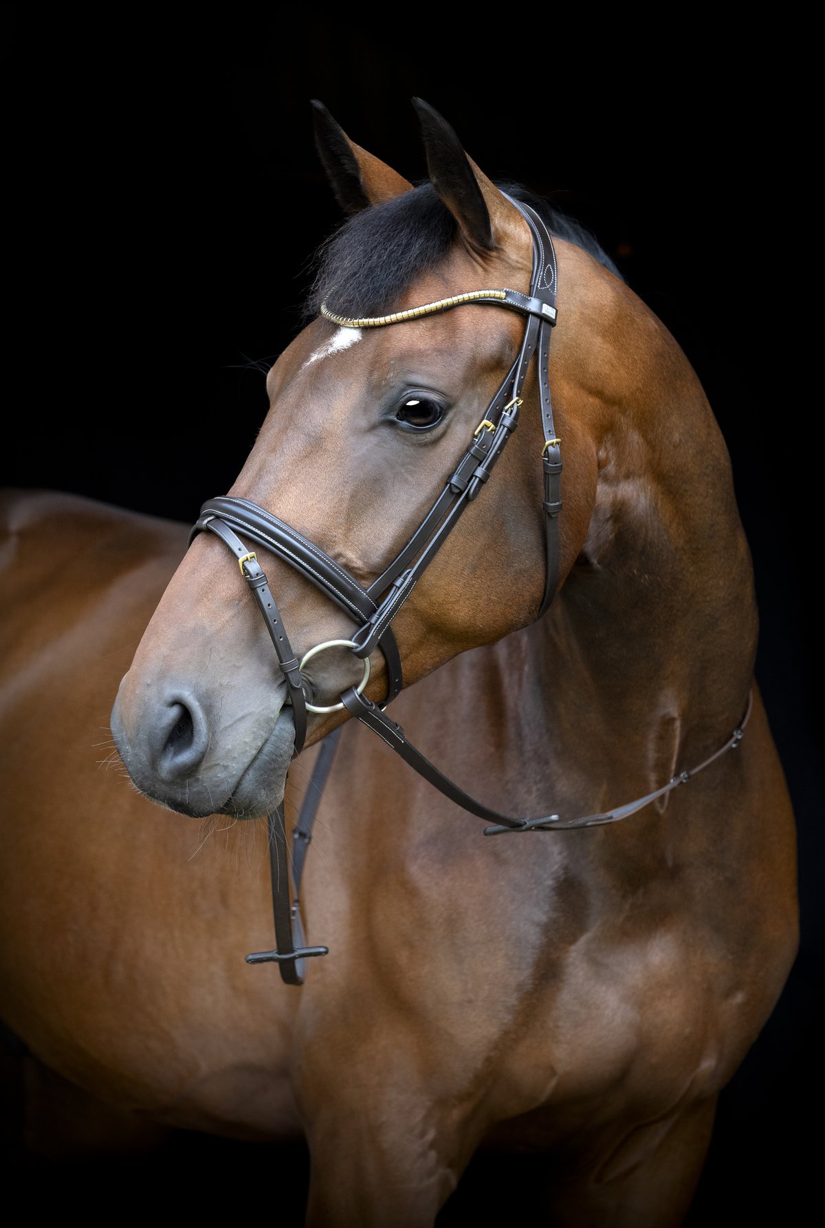 HorseGuard Horse Guard Emi 26.1 päitset yhdistetyllä nenäremmillä - Brown - 2