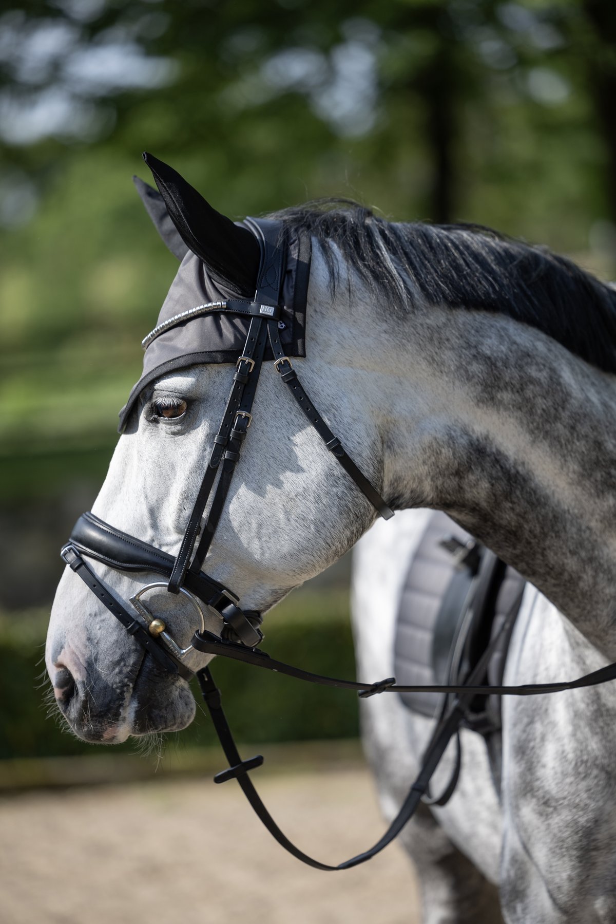 HorseGuard Horse Guard Cryll 26.1 flash & pullback -päitset - Black - 5