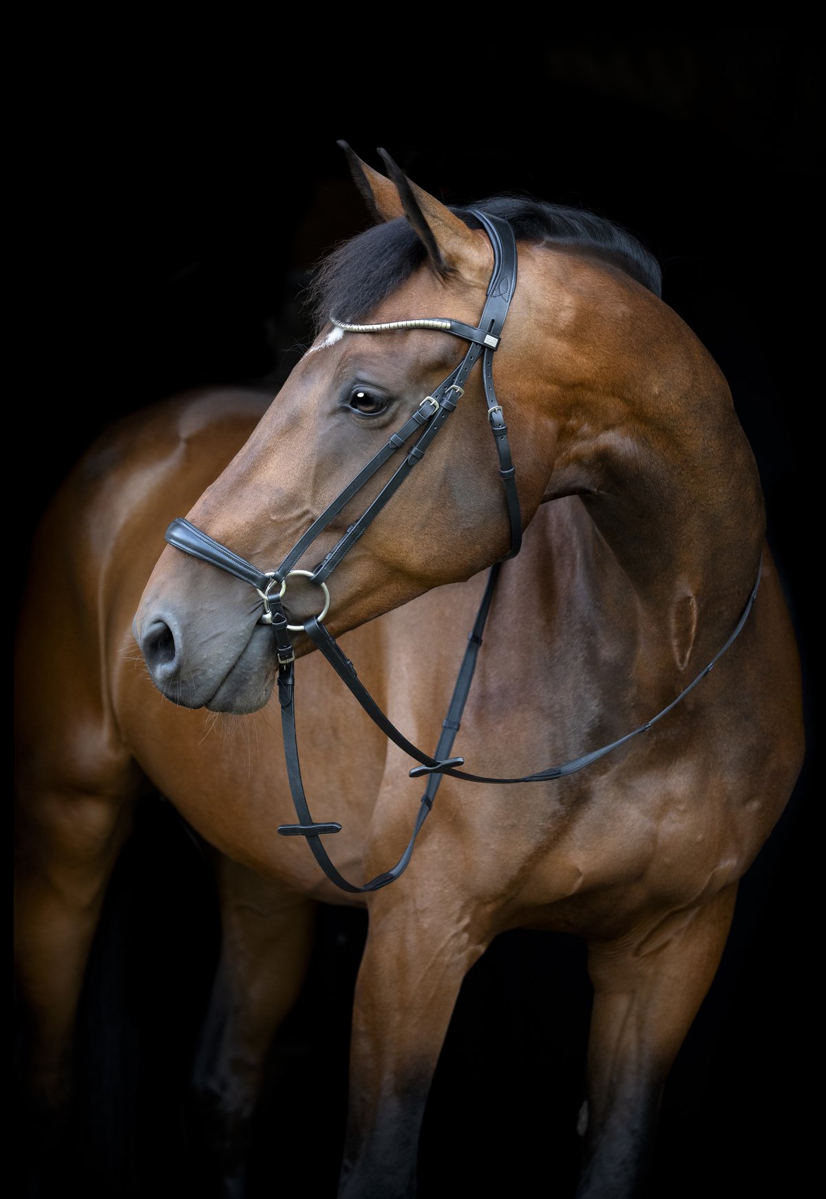HorseGuard Horse Guard Cryll 26.1 päitset pudottava nenäremmi - Black - 2