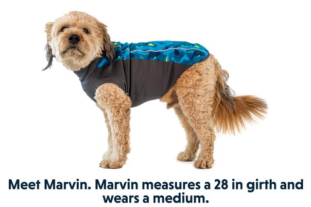 Ruffwear Changer Pullover- Glacier - 7