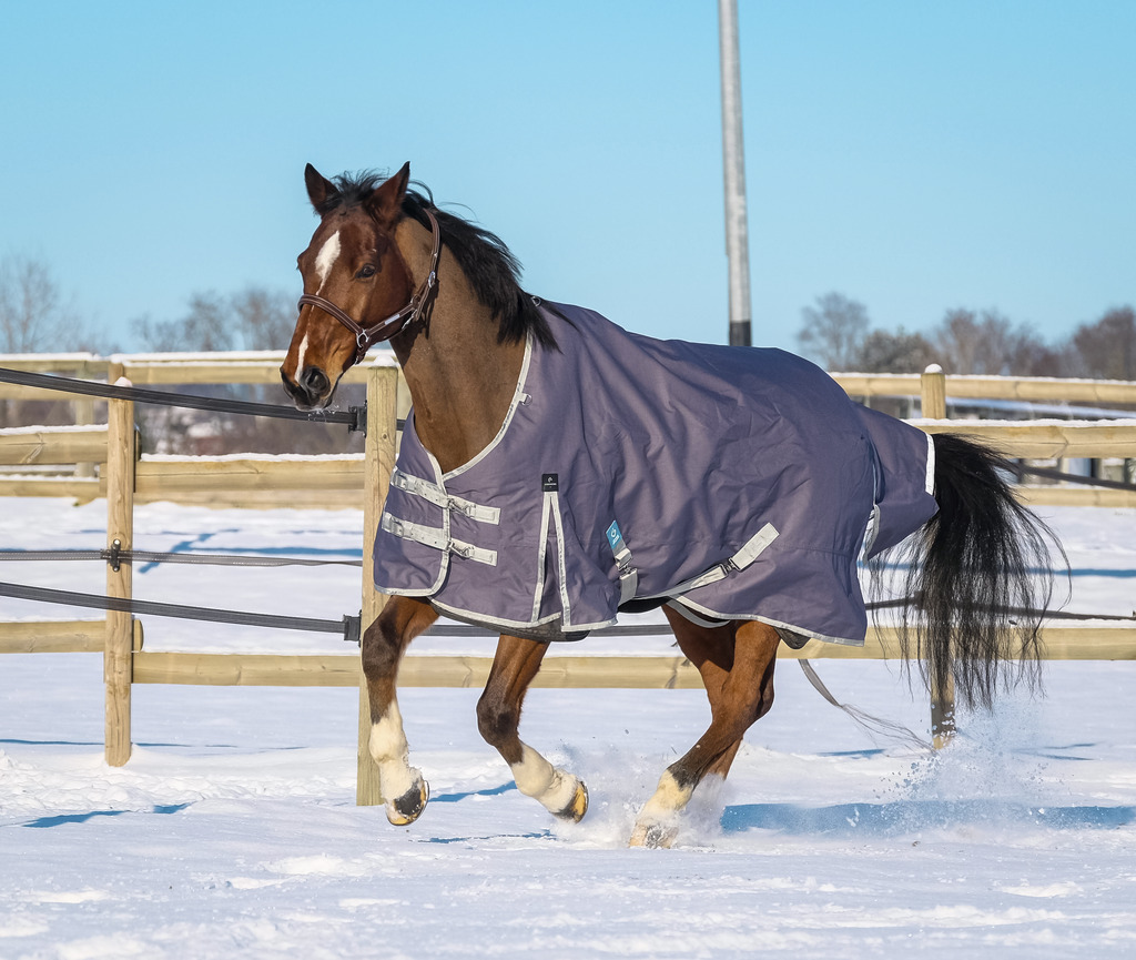 EQUITHEME 'TYREX 1200D' Recycled Turnout Rug Taupe 300 g - 3