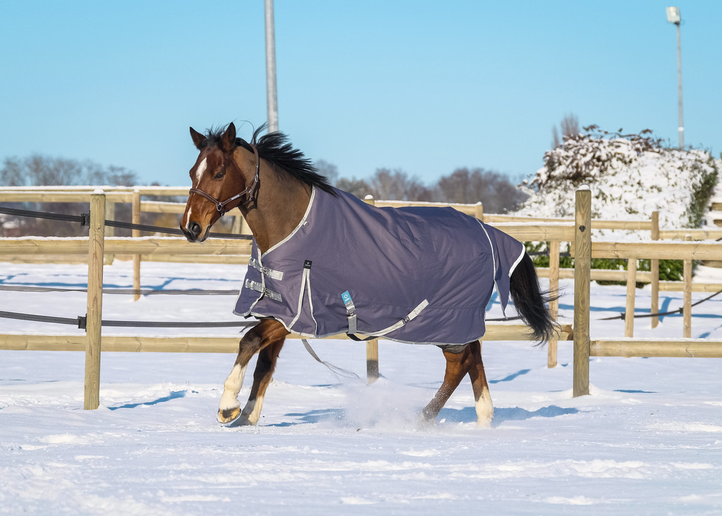 EQUITHEME 'TYREX 1200D' Recycled Turnout Rug Taupe 300 g - 8