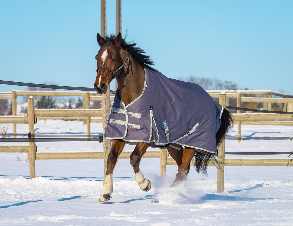 EQUITHEME 'TYREX 1200D' Recycled Turnout Rug Taupe 300 g - 4