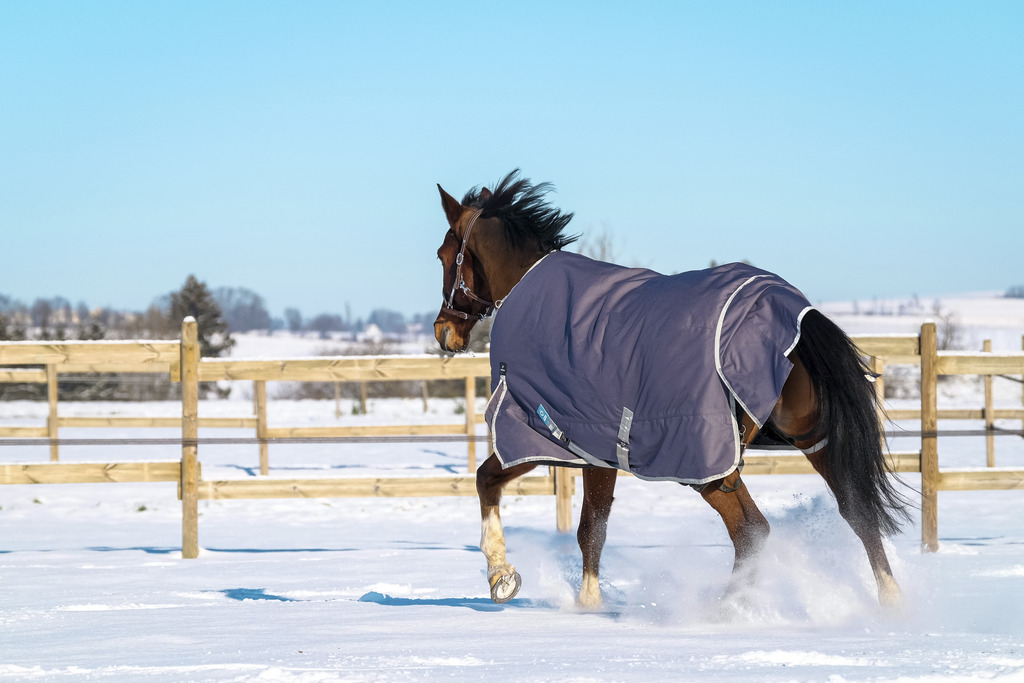 EQUITHEME 'TYREX 1200D' Recycled Turnout Rug Taupe 300 g - 5