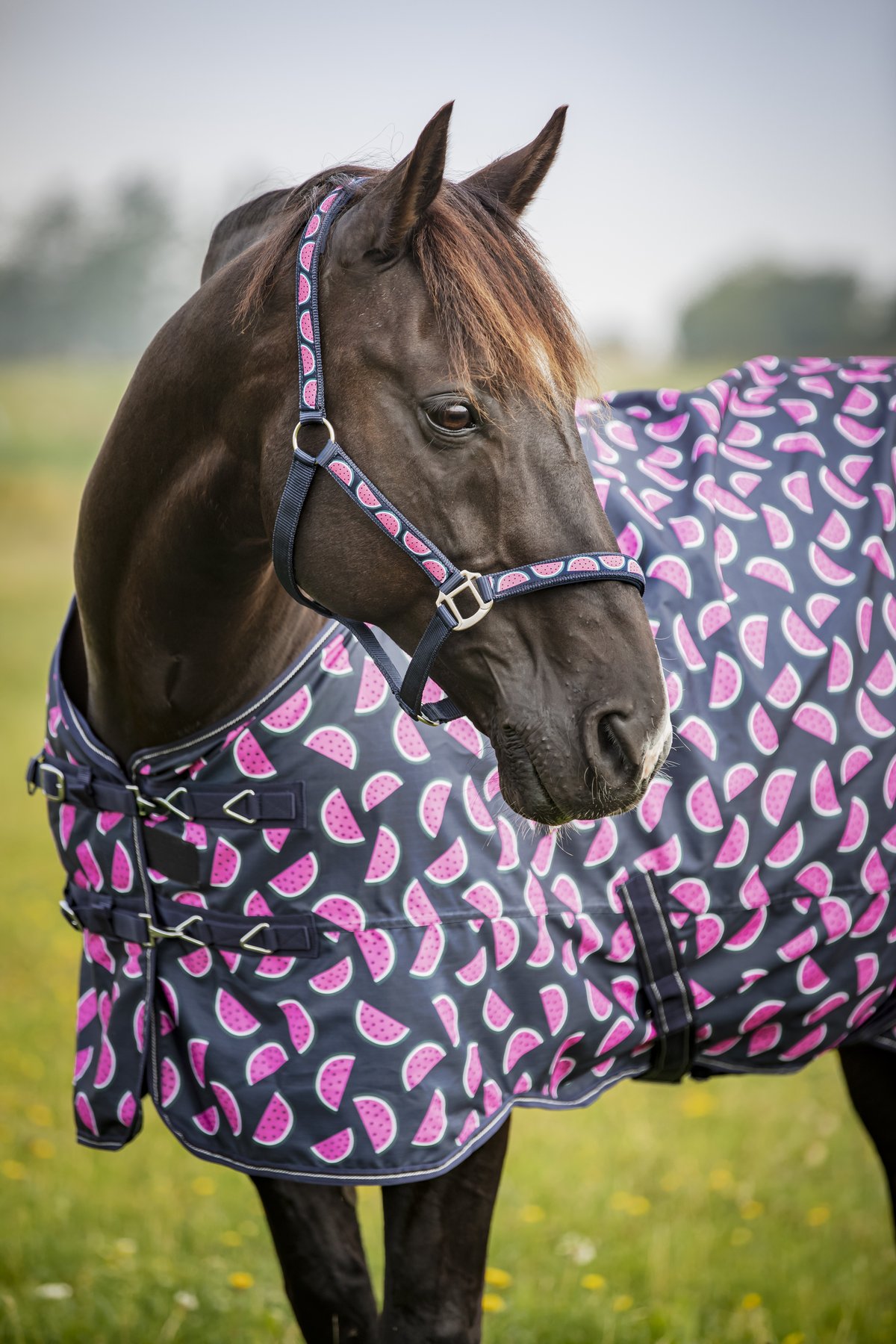 HorseGuard Horse Guard Melon halter - Navy - 4