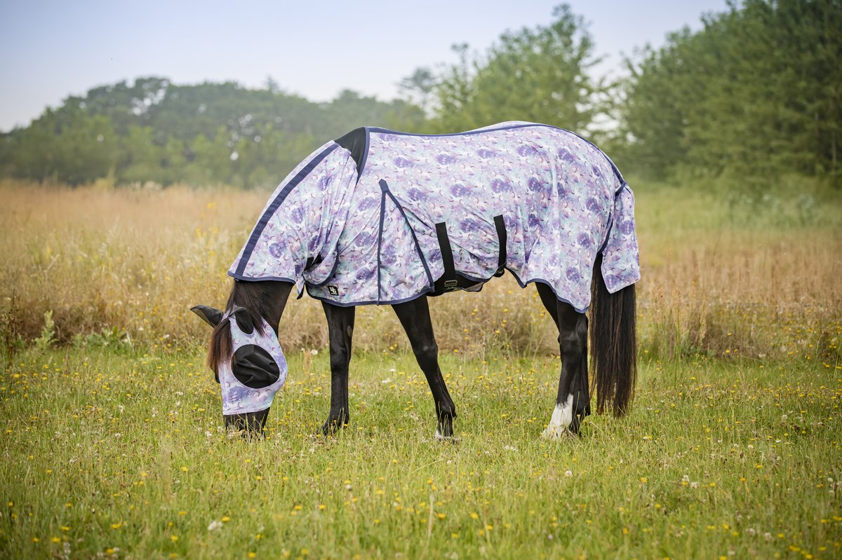 HorseGuard Horse Guard Unicorn fly rug - Aster Purple - 2