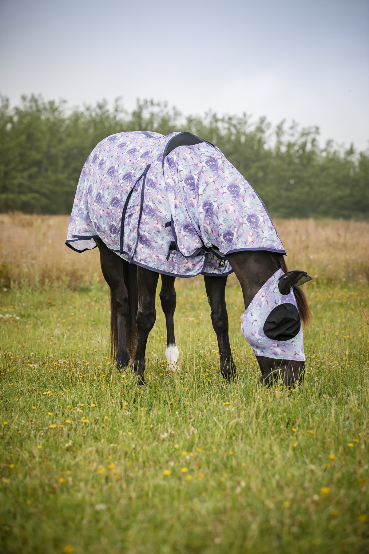 HorseGuard Horse Guard Unicorn fly rug - Aster Purple - 3