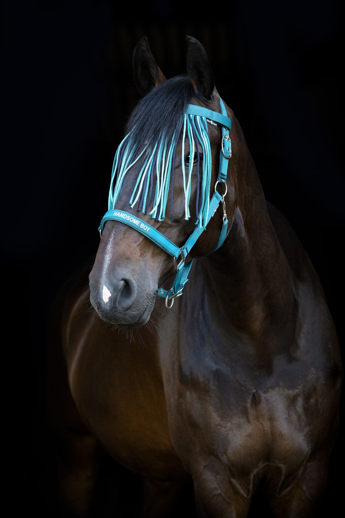 HorseGuard Horse Guard Malva fly fringe browband - Arctic - 2