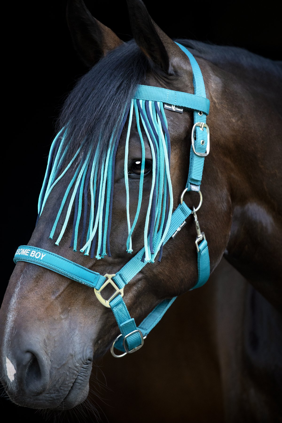 HorseGuard Horse Guard Malva fly fringe browband - Arctic - 3