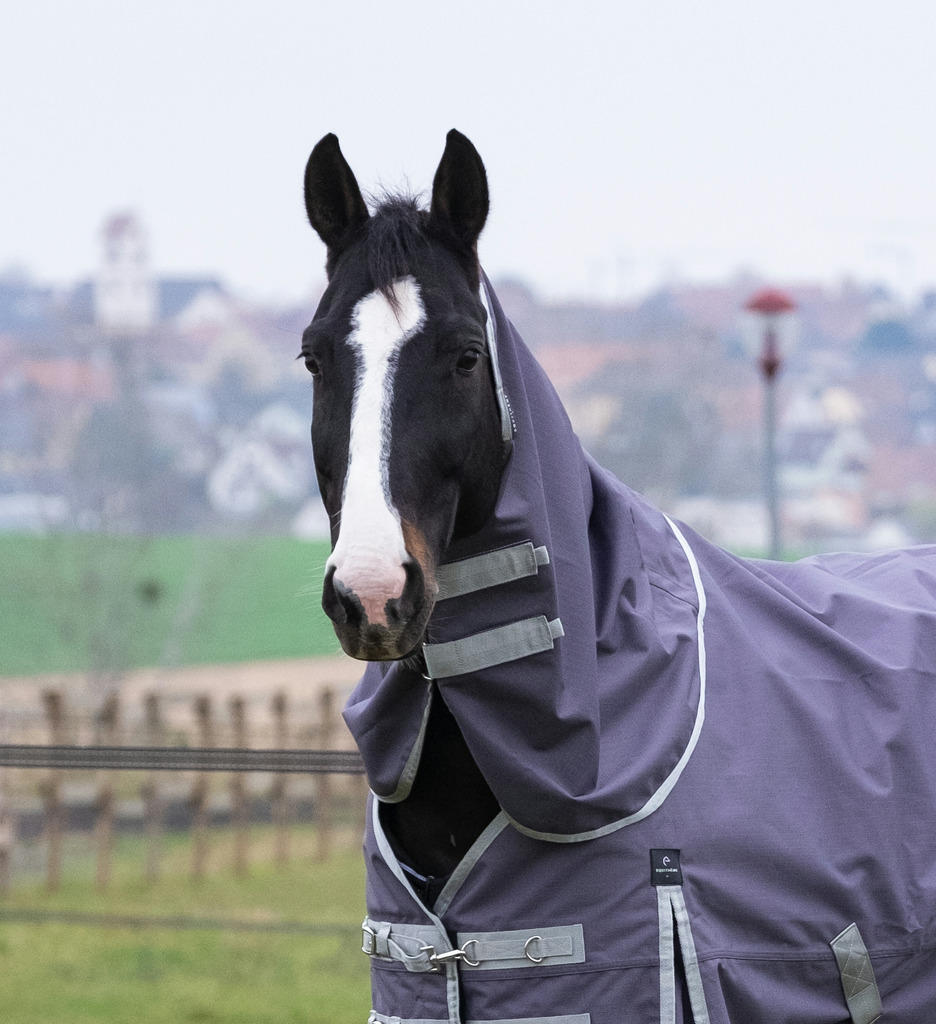 EQUITHEME 'TYREX 1200D' Recycled Neck Cover Taupe 0 g - 2