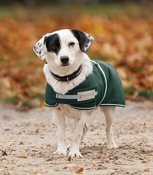 Waldhausen COMFORT Dog Coat, 200 g fir green