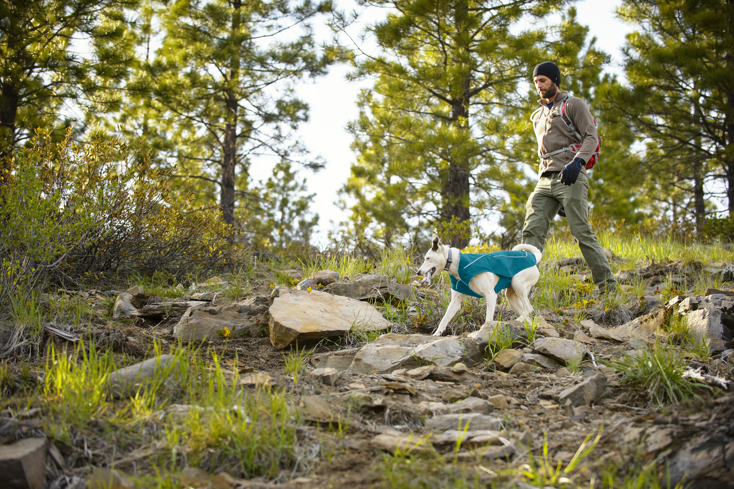 Ruffwear Overcoat Dog Vest Baja Blue PETSTER