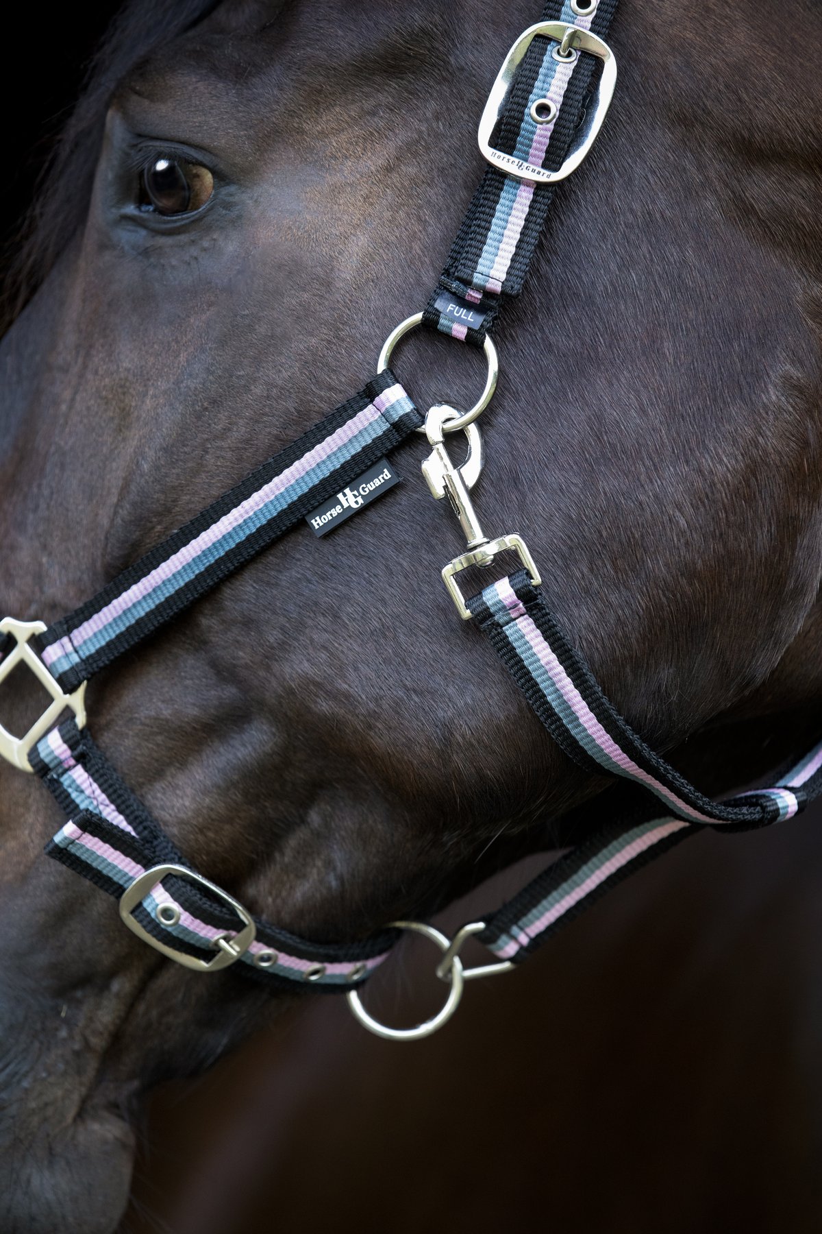 HorseGuard Horse Guard stribed halter - Black - 4