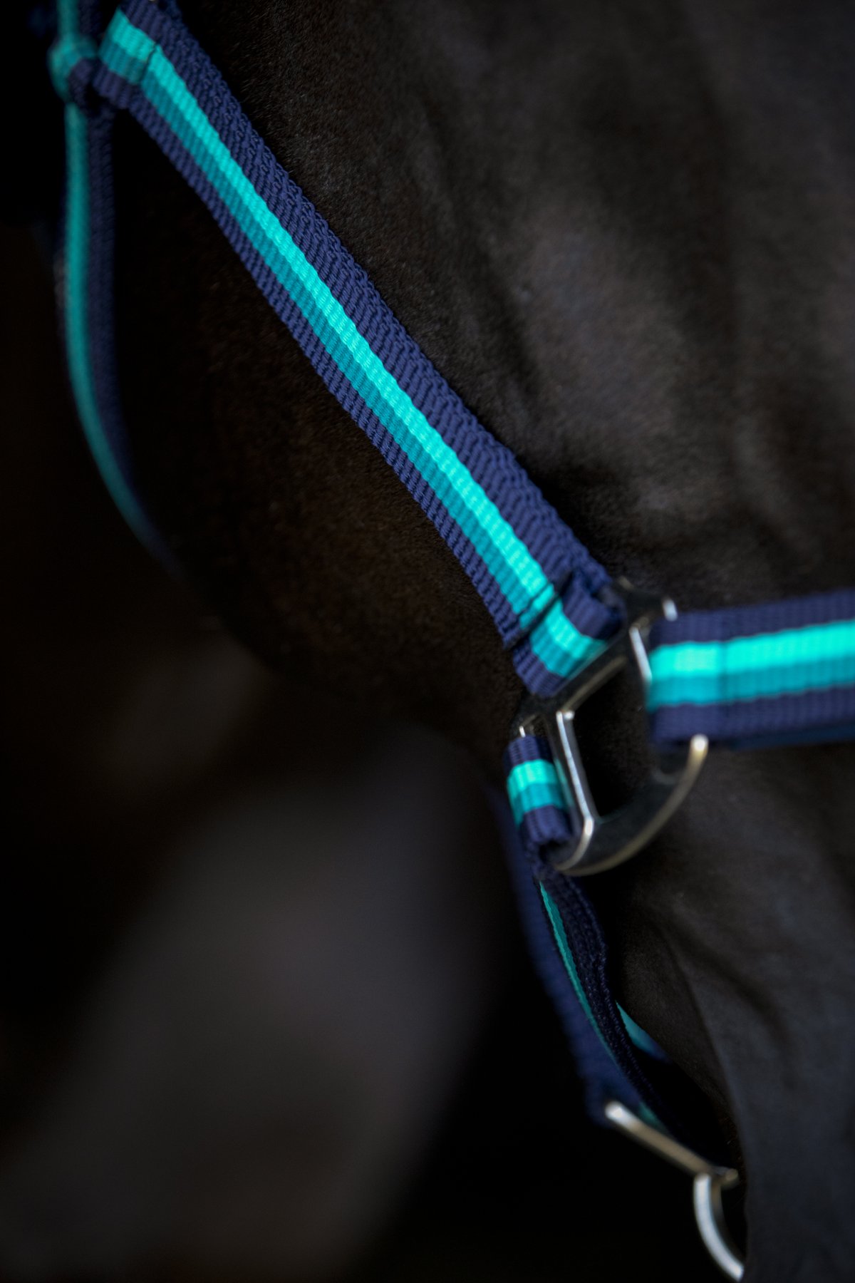 HorseGuard Horse Guard stribed halter - Navy - 3