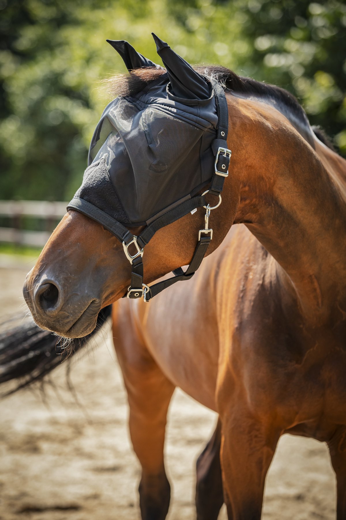 HorseGuard Horseguard Insect halter with mesh - Black - 3
