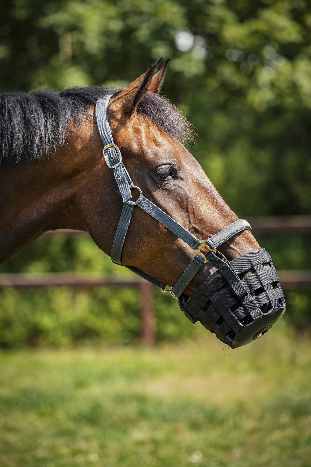 HorseGuard Gras reducer for halter - Black - 3