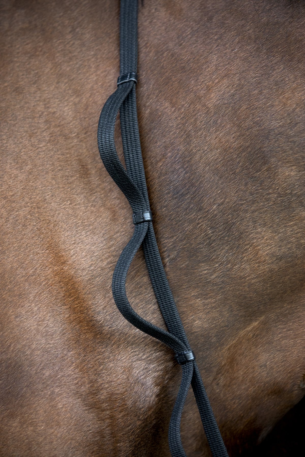 HorseGuard Loop-ohjakset 16mm - Black - 3
