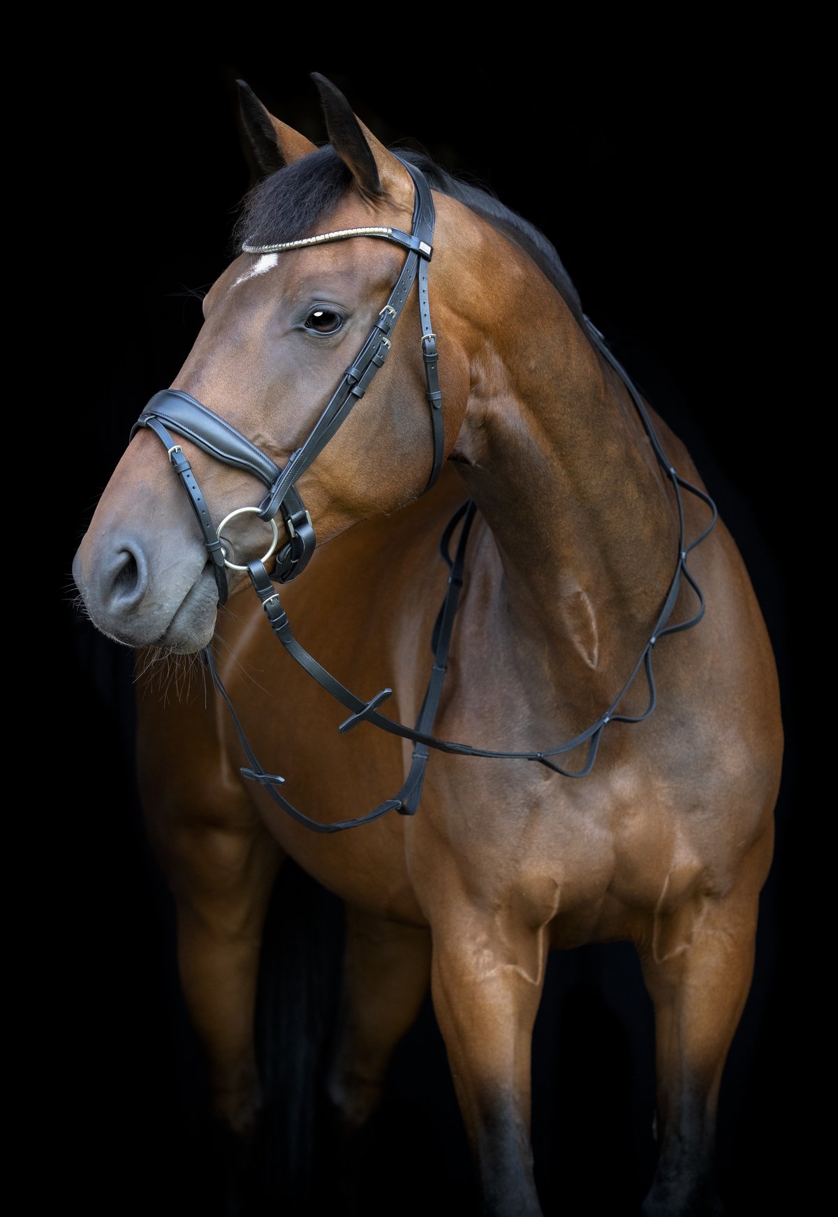 HorseGuard Loop-ohjakset 16mm - Black - 4
