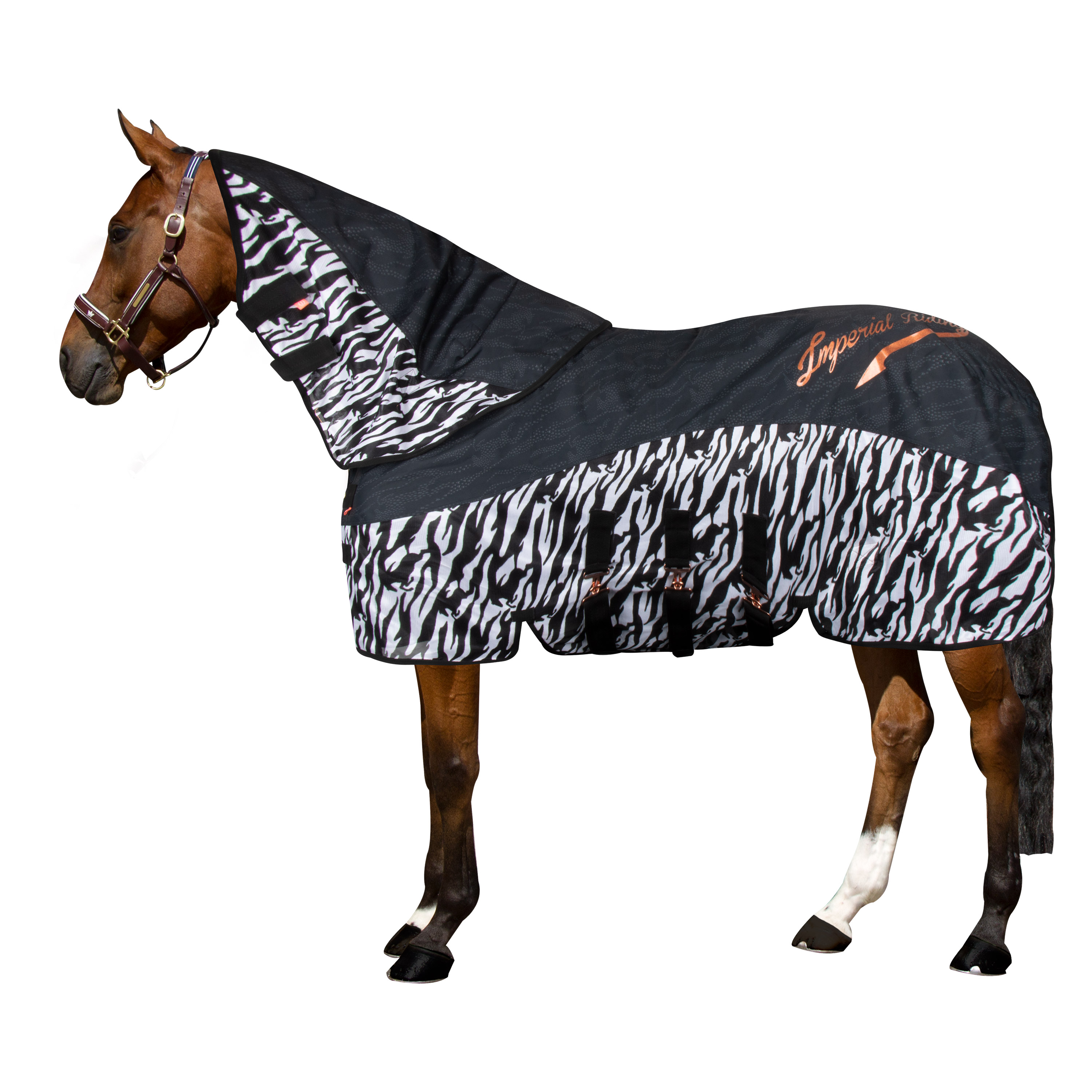Imperial Riding Neck rain & fly Blanket Super-dry Carly Black zebra - 4