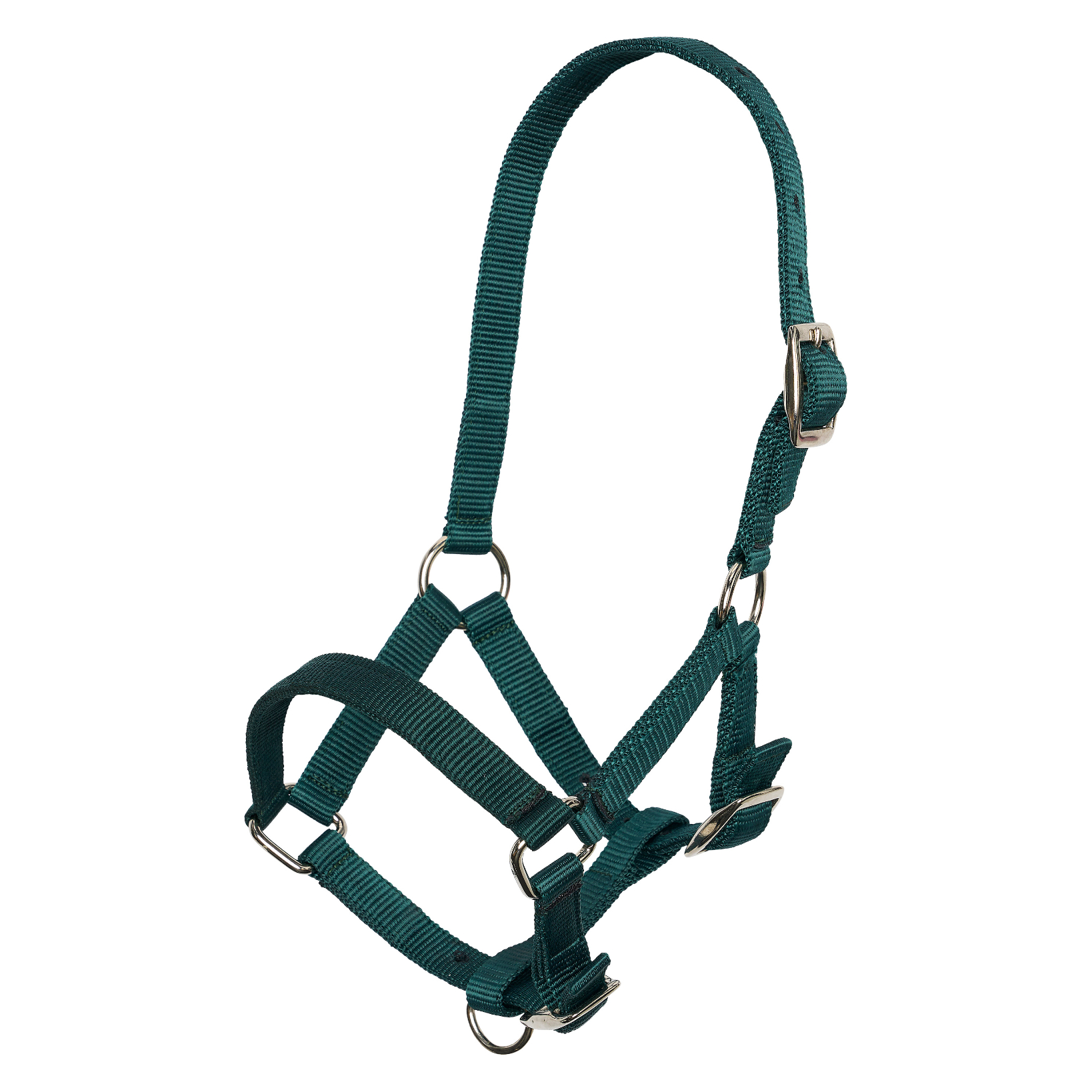 Headcollar nylon foal IRH Forest green Forest green, Imperial Riding
